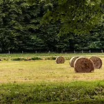 Sasreti Vadaszkastely B&B