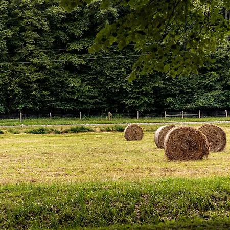 Sasréti Vadászkastély Couette-café