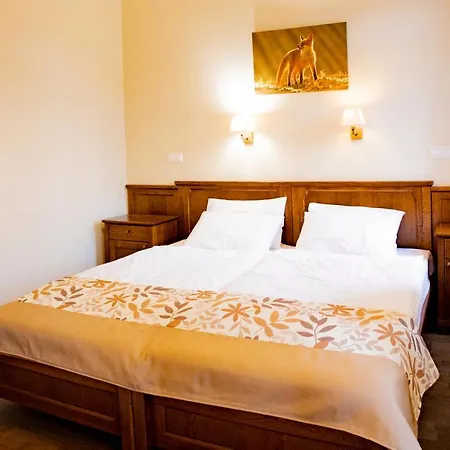 Sasreti Vadaszkastely 4* Almamellék
