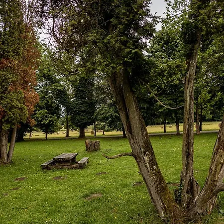 Sasreti Vadaszkastely 4* Almamellék