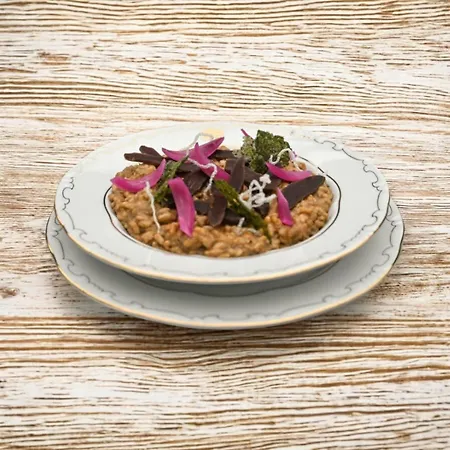 Couette-café Sasréti Vadászkastély 4*