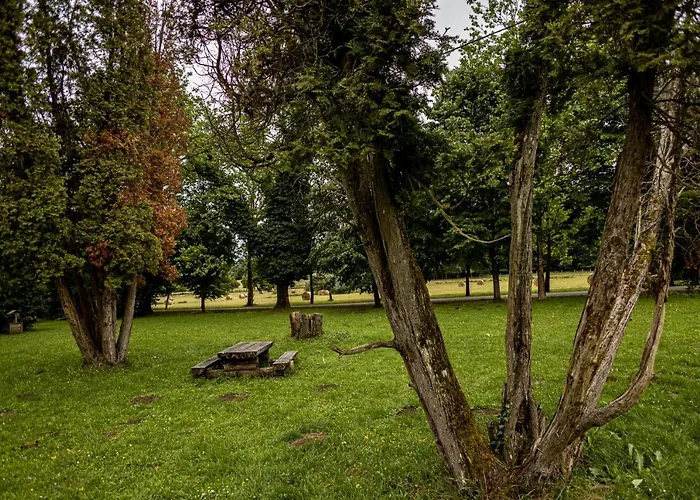 Sasréti Vadászkastély 4* Almamellék