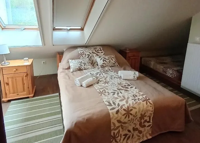 Bed and breakfast Sasréti Vadászkastély 4*
