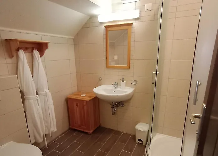 Sasreti Vadaszkastely Almamellék